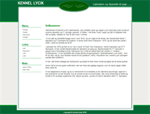 Tablet Screenshot of lycik.dk